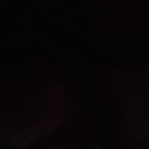 Meet your Posher, Cody